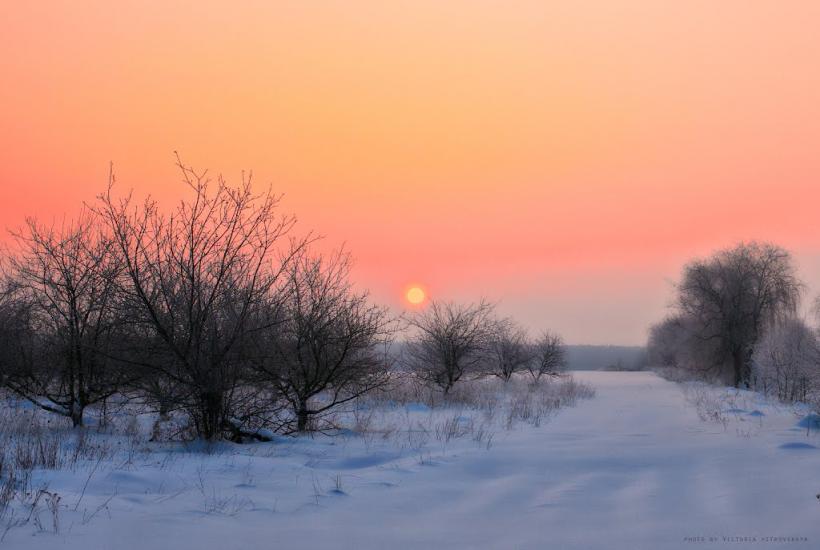 Великий Карашин з panoramio.com - Velykyy Karashyn