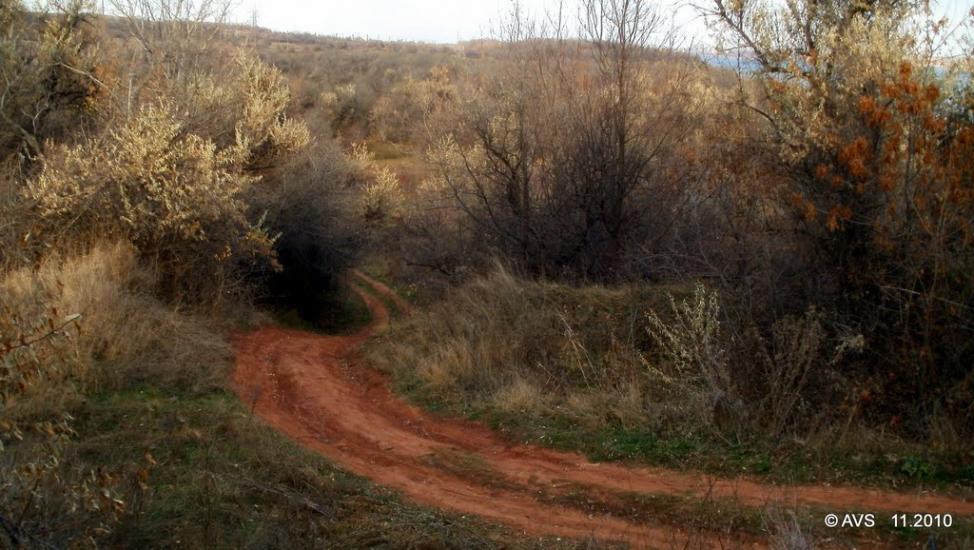 Доломітне з panoramio.com - Доломітне