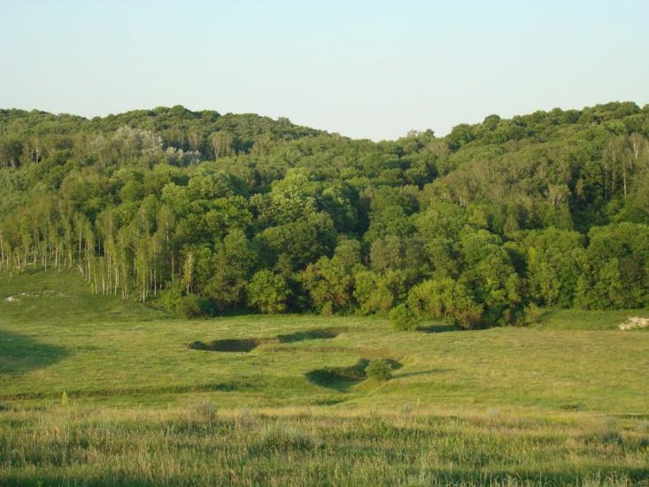 Могриця з panoramio.com - Могрица