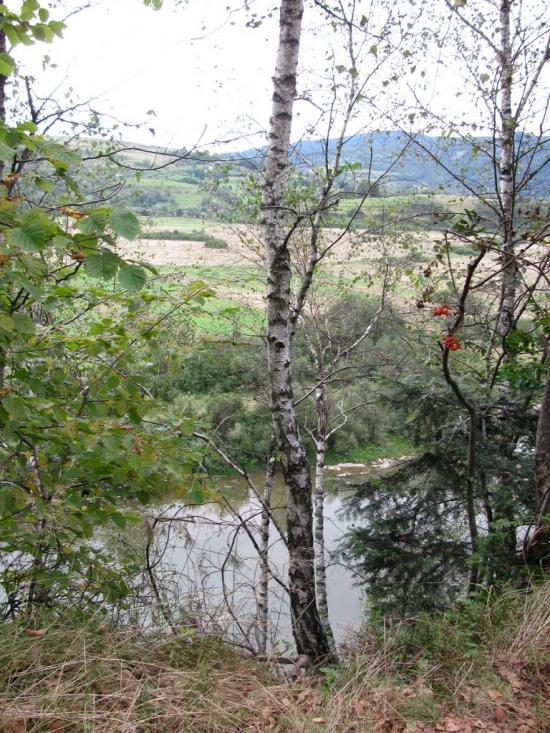 Рибник з panoramio.com - Рибник