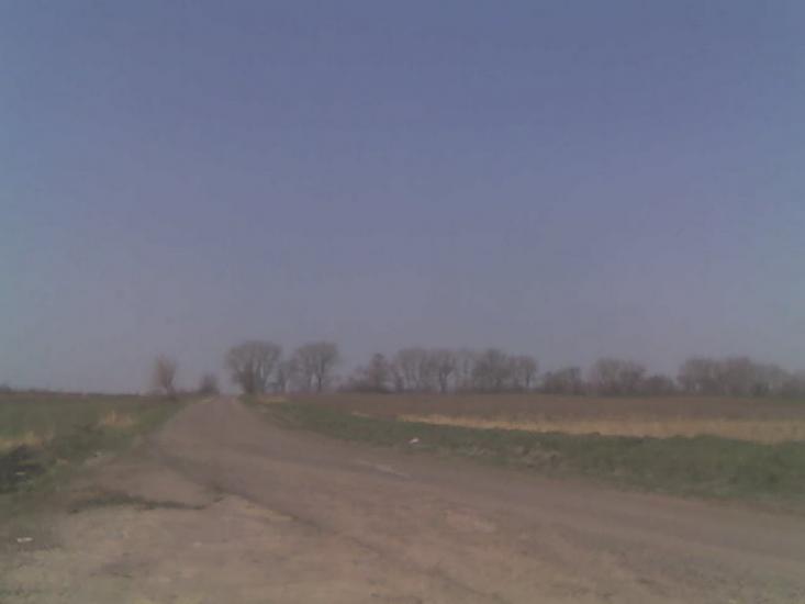 Велика Омеляна з panoramio.com - Великая Омеляна