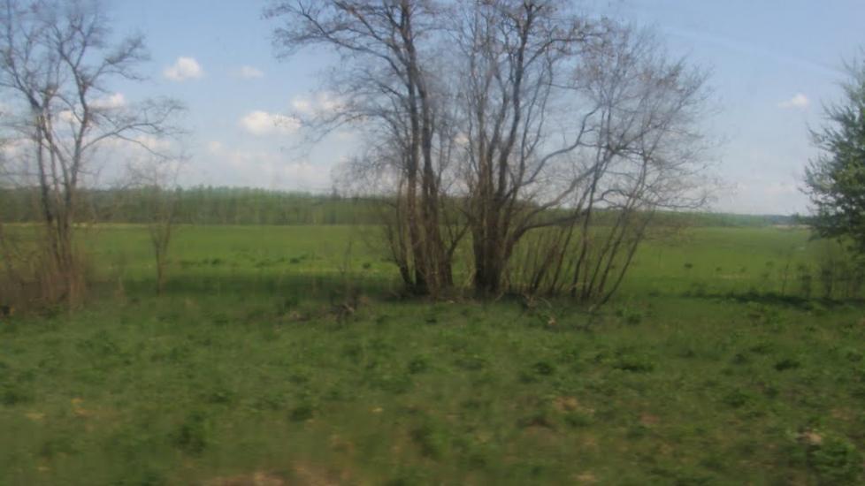 Машеве з panoramio.com - Машево