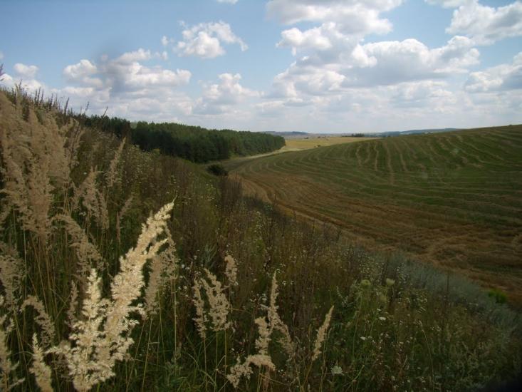 Заріцьк з panoramio.com - Зарецк