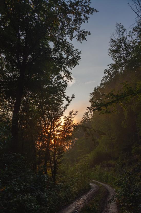 Костринська Розтока з panoramio.com - Костринська Розтока
