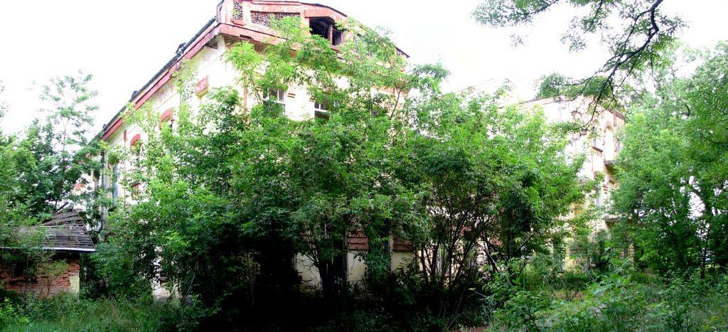 Стригани з panoramio.com - Стриганы