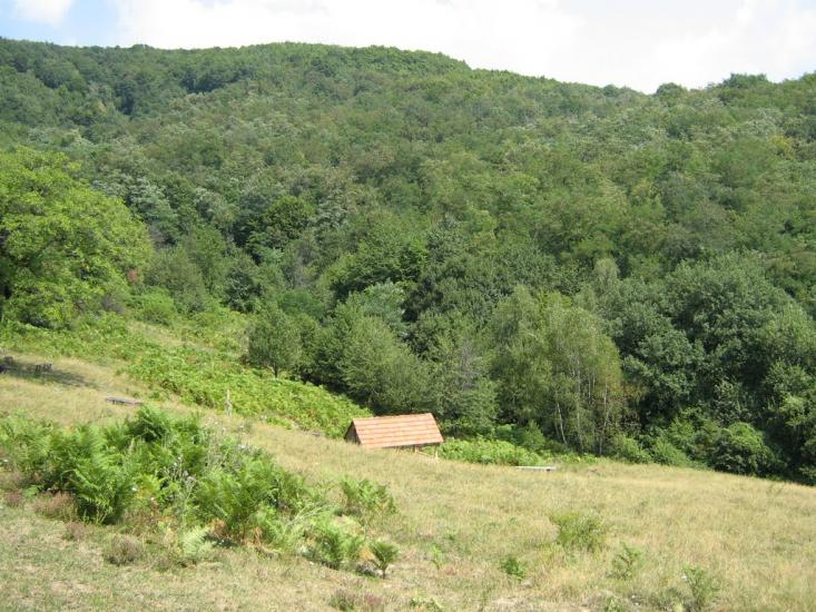 Худльово з panoramio.com - Худлово