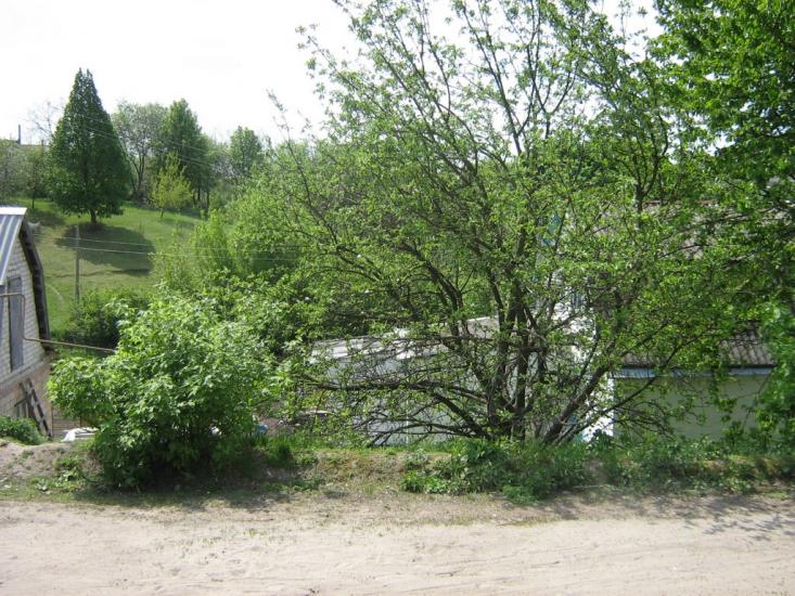 Ржищів з panoramio.com - Ржищев