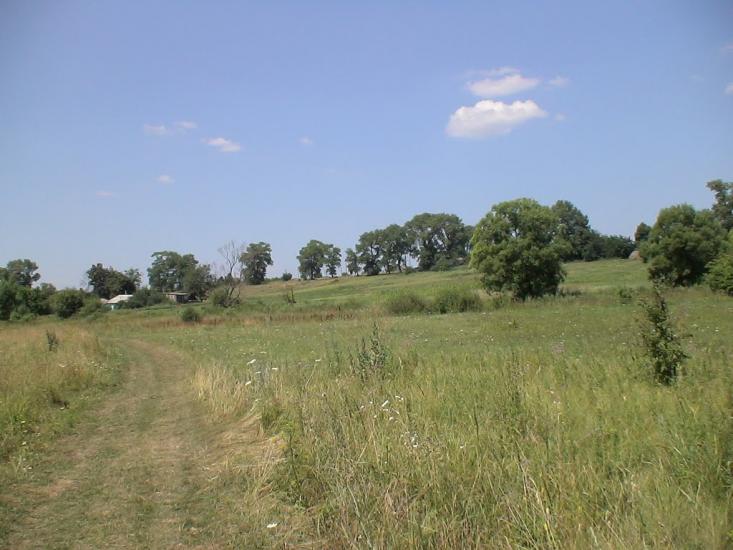 Литвиновичі з panoramio.com - Литвиновичи