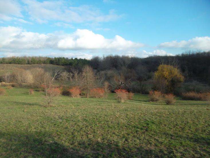 Захарівка з panoramio.com - Захарівка