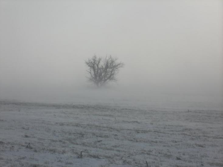 Першотравенка з panoramio.com - Первотравенка