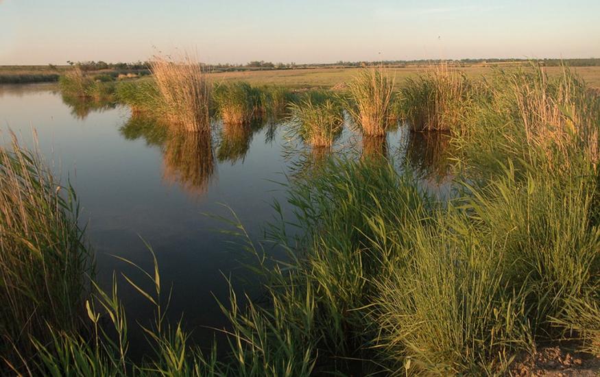Мала Тернівка з panoramio.com - Малая Терновка
