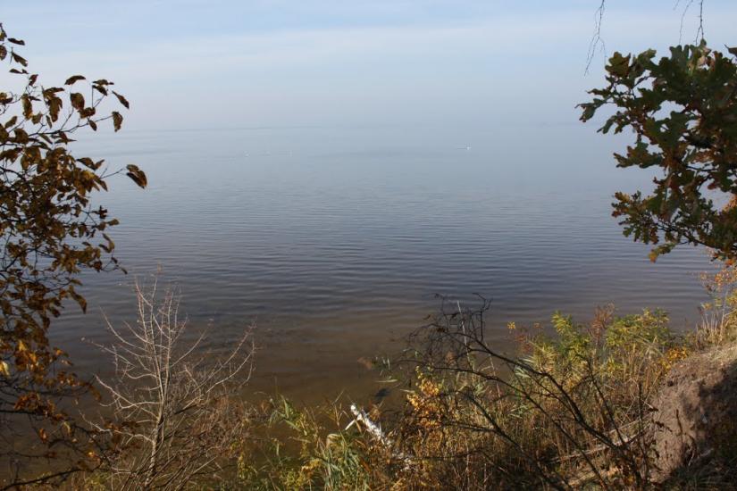 Хоцьки з panoramio.com - Хоцки
