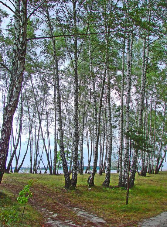 Невір з panoramio.com - Nevir