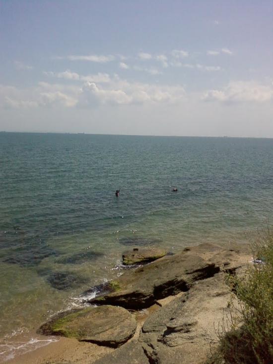 Челядінове з panoramio.com - Челядиново