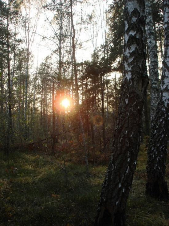 Хрипськ з panoramio.com - Хрипск