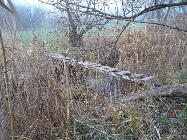 Захарівка з panoramio.com - Захарівка