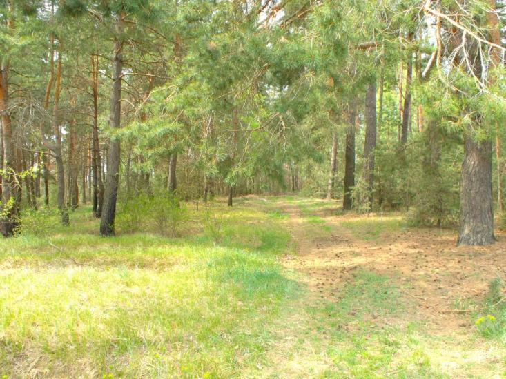 Дешки з panoramio.com - Дешки