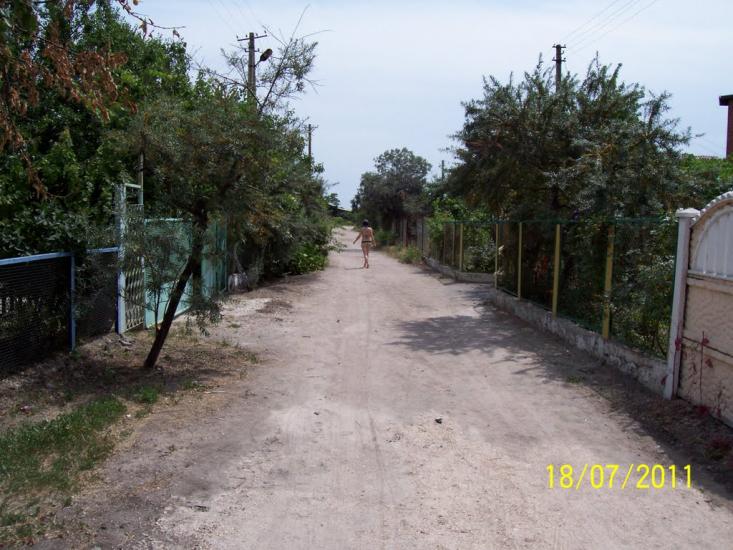 Виноградне з panoramio.com - Виноградне