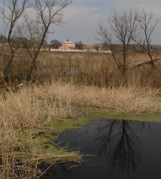 Дмитрівка з panoramio.com - Дмитровка