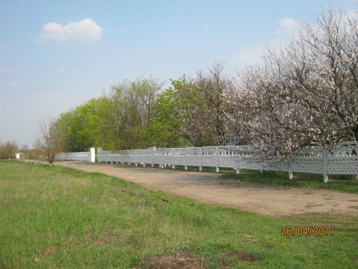 Вірівка з panoramio.com - Веровка