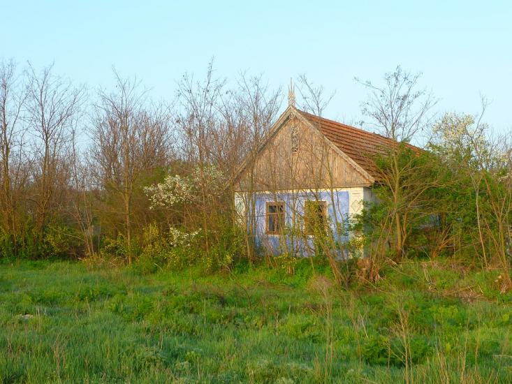 Новосвітівка з panoramio.com - Новосвітівка