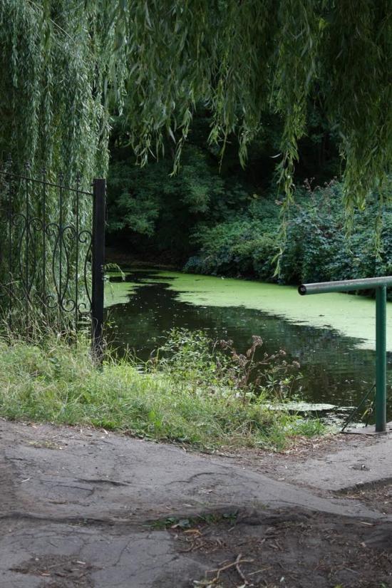 Андрушівка з panoramio.com - Андрушевка