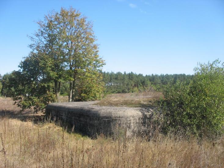 Велика Любаша з panoramio.com - Велика Любаша