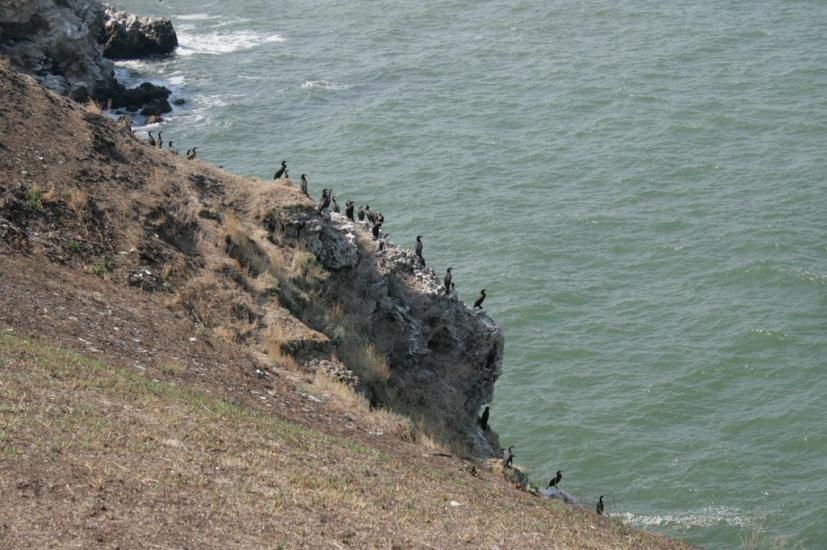 Заводське з panoramio.com - Заводське