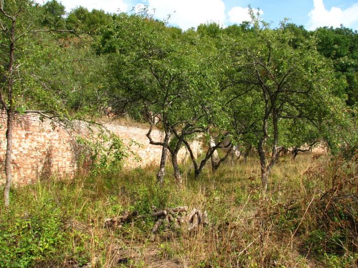 Городнє з panoramio.com - Городнє