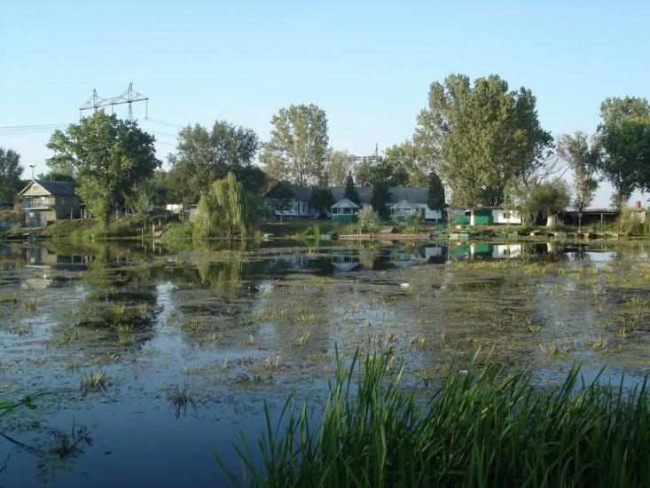 Новосільське з panoramio.com - Novosilske