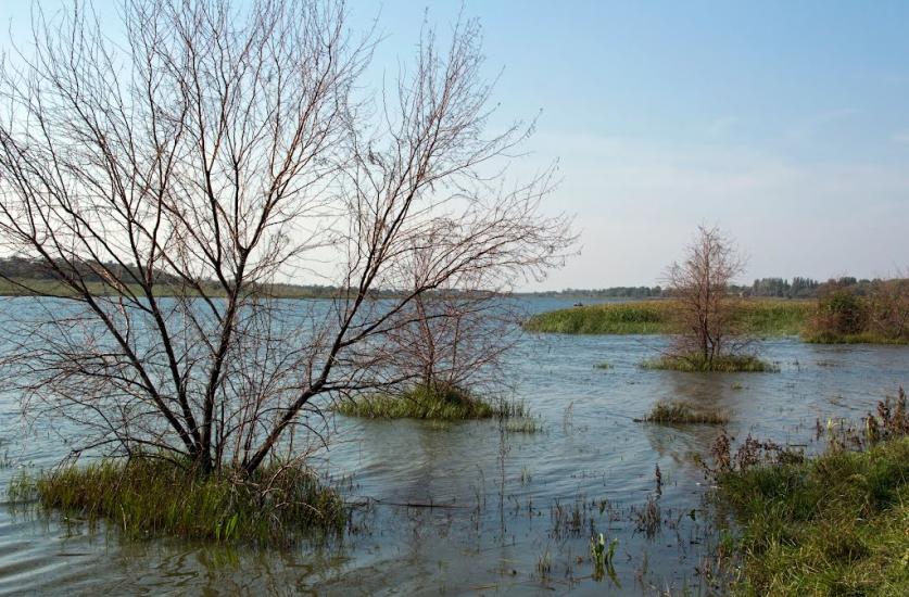Златоустівка з panoramio.com - Златоустовка