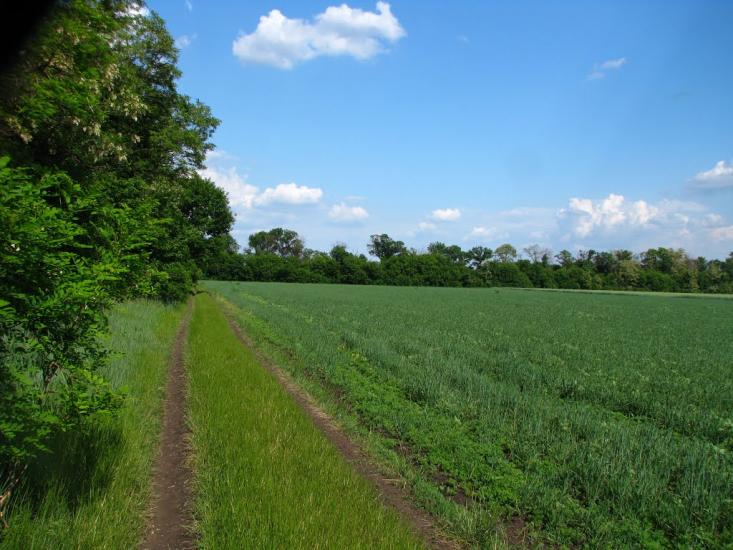 Першотравенськ з panoramio.com - Першотравенск