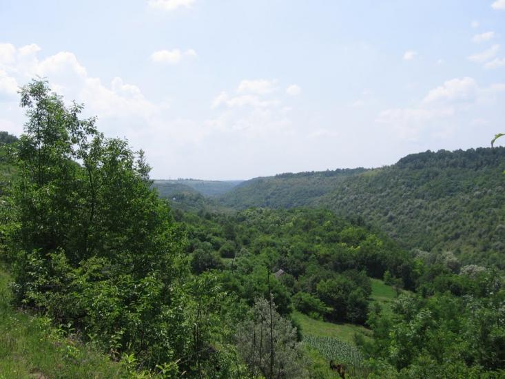 Загнітків з panoramio.com - Загнітків