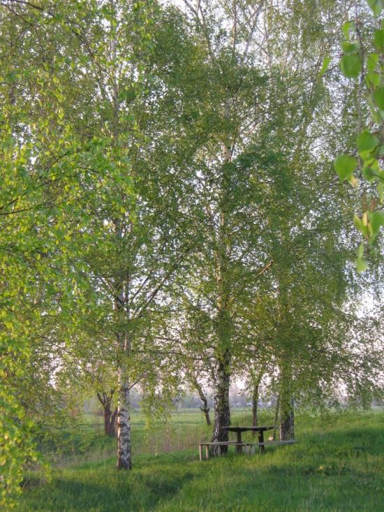 Дебеславці з panoramio.com - Debeslavtsi