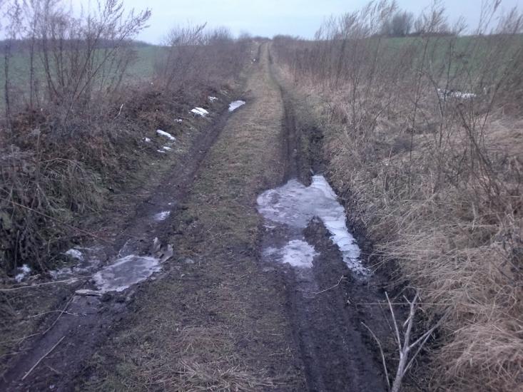 Ковиничі з panoramio.com - Ковиничі