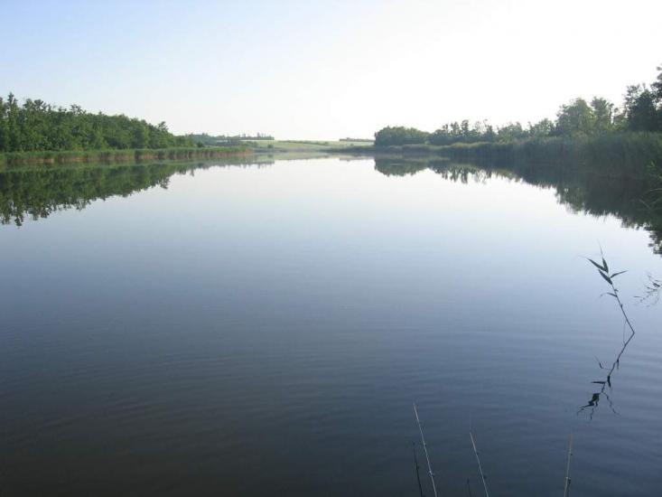 Арбузинка з panoramio.com - Арбузинка