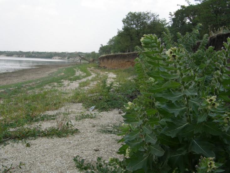 Кіровка з panoramio.com - Даниловка