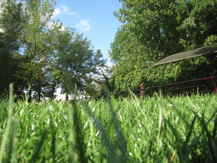 Новотроїцьке з panoramio.com - Новотроїцьке