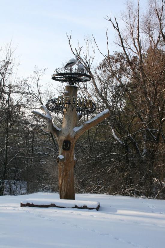 Проців з panoramio.com - Protsiv