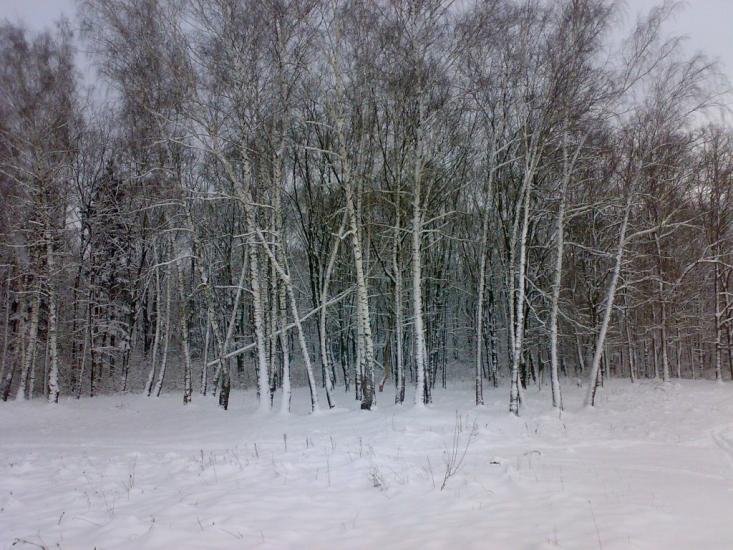 Андрушівка з panoramio.com - Андрушевка