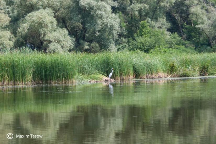 Комсомольськ з panoramio.com - Комсомольск