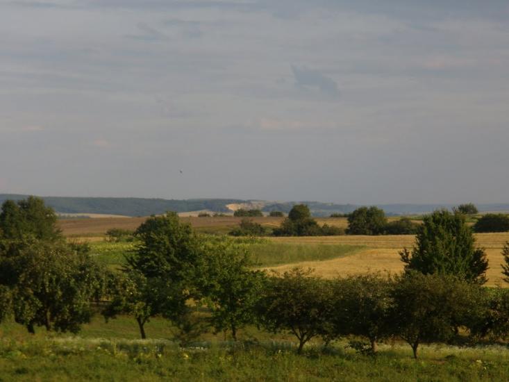 Заріцьк з panoramio.com - Зарецк