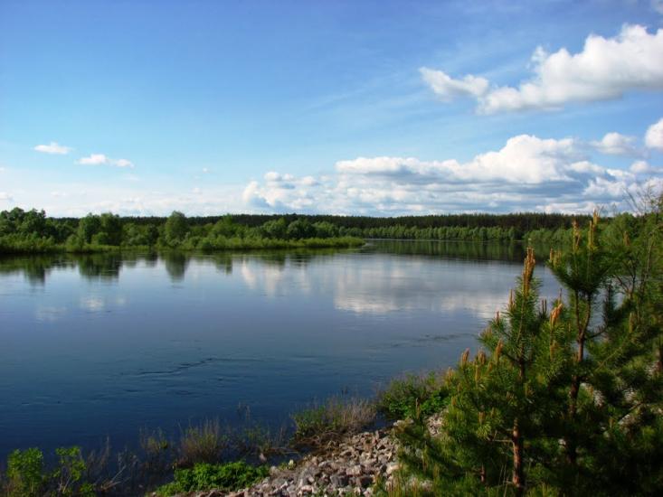 Неданчичі з panoramio.com - Неданчичи