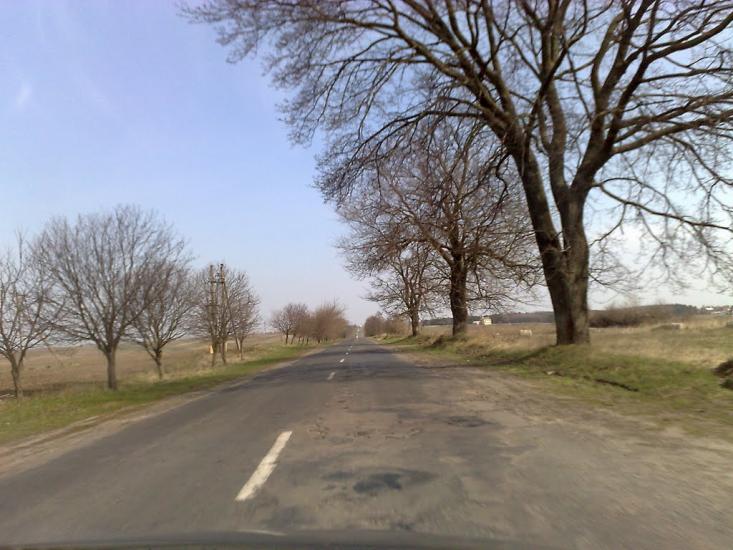 Лаврів з panoramio.com - Лавров