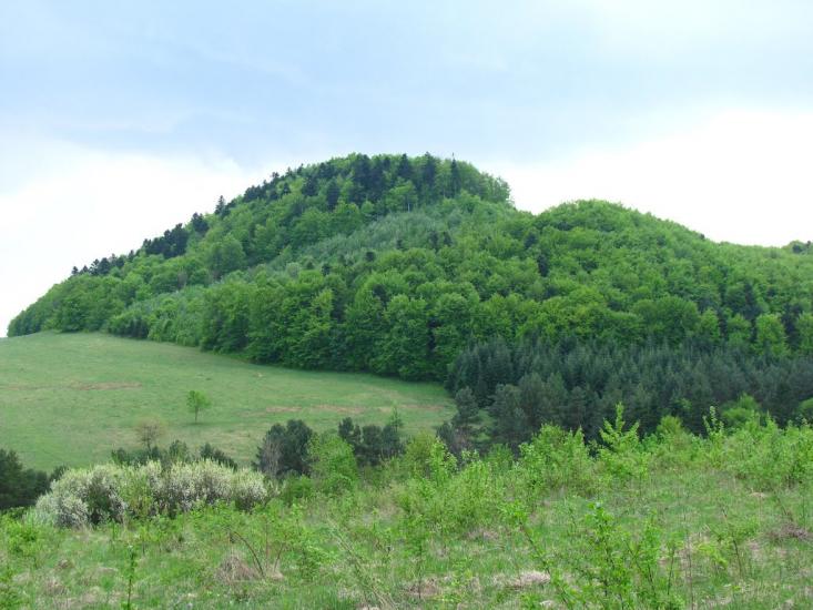 Добромиль з panoramio.com - Dobromyl