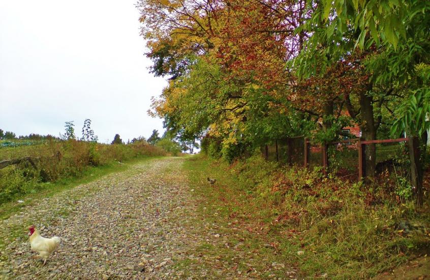 Рогачин з panoramio.com - Рогачин