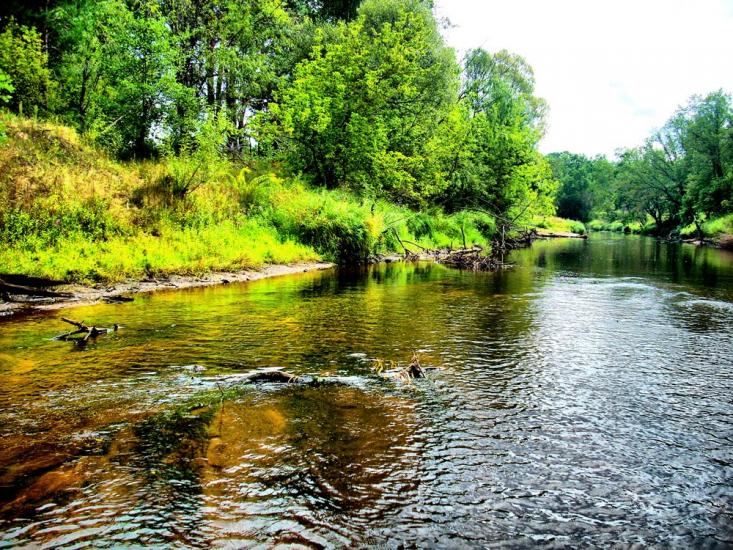 Сущани з panoramio.com - Сущаны