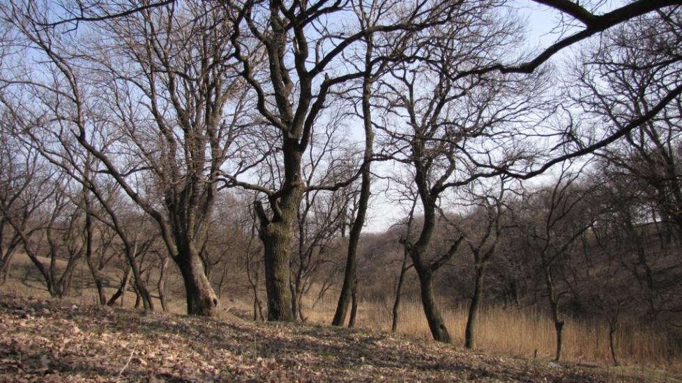 Українськ з panoramio.com - Українськ