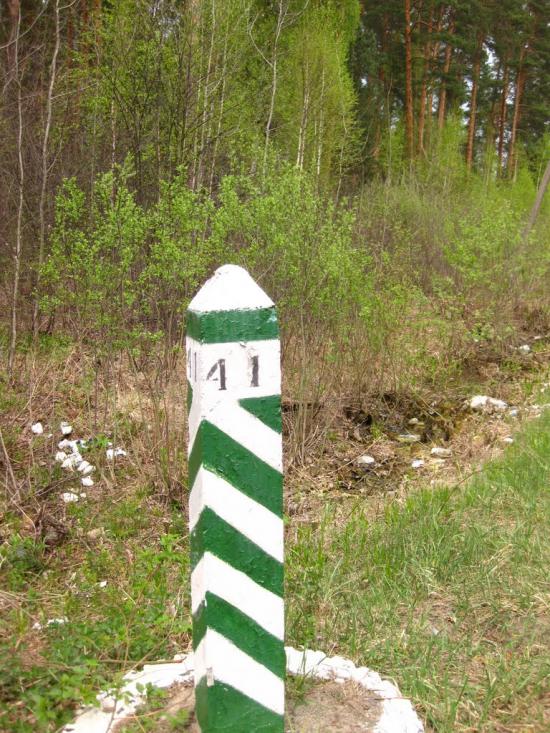 Малин з panoramio.com - Малин