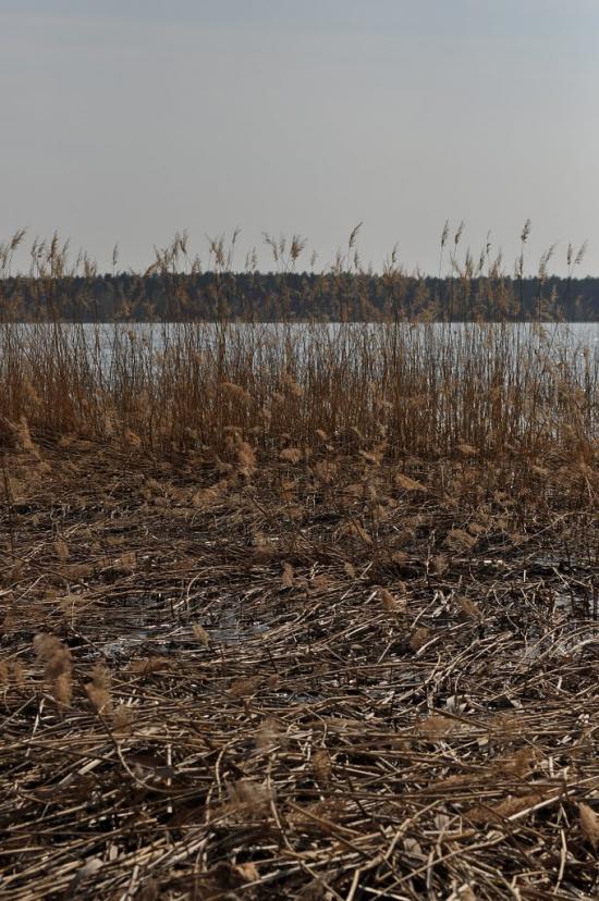 Гамарня з panoramio.com - Гамарня